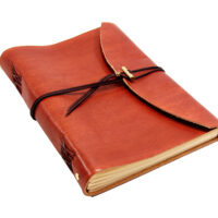Leder Tagebuch Soft OX Classic Lion - Din A4