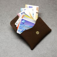 Karten Etui - Cards & Cash Buffalo Chocolate