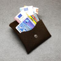 Karten Etui - Cards & Cash Buffalo Crust